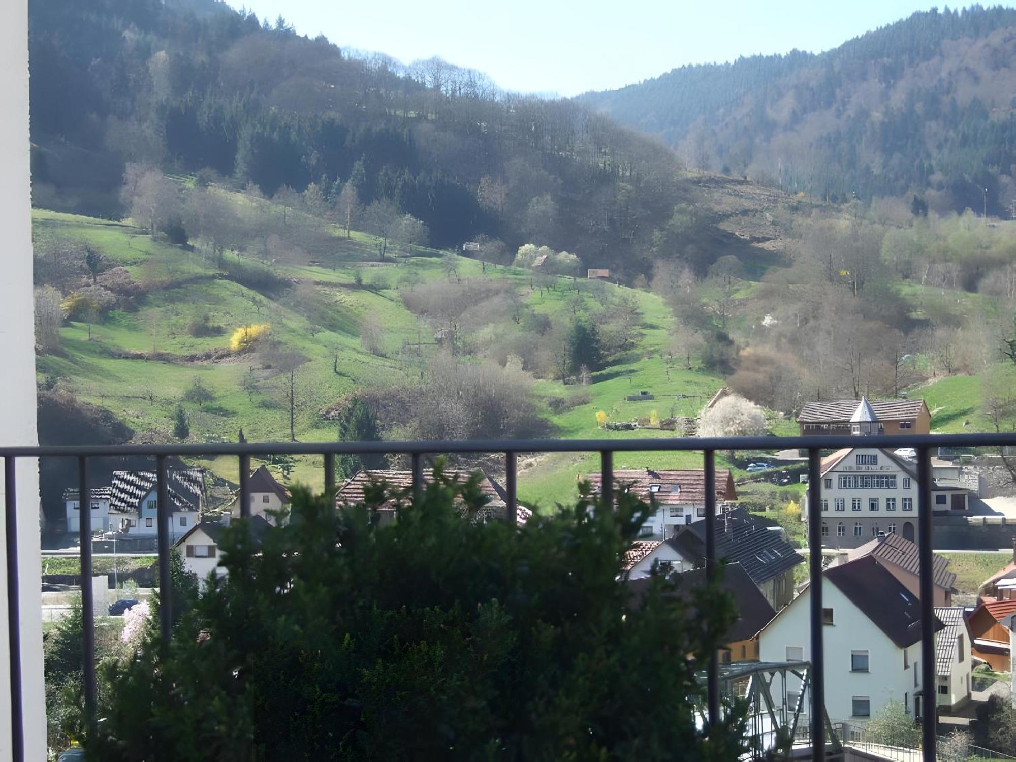 Regina'S Gaestehaus Weisenbach Esterno foto