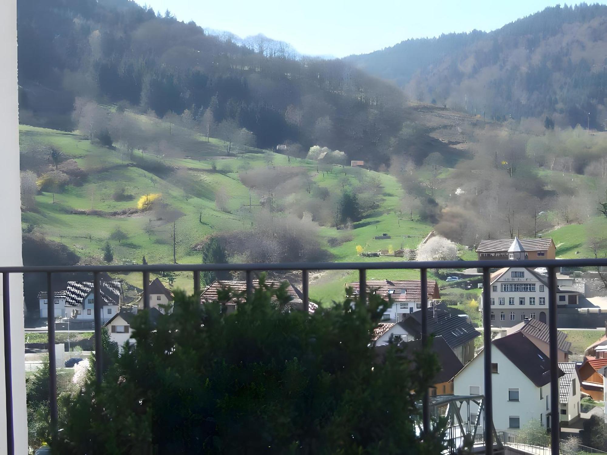 Regina'S Gaestehaus Weisenbach Esterno foto